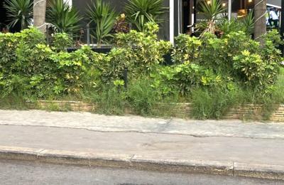 Super Opportunité Fonds de Commerce avec Murs